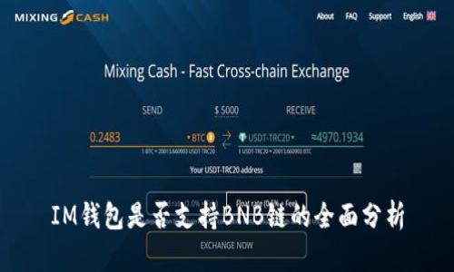 IM钱包是否支持BNB链的全面分析